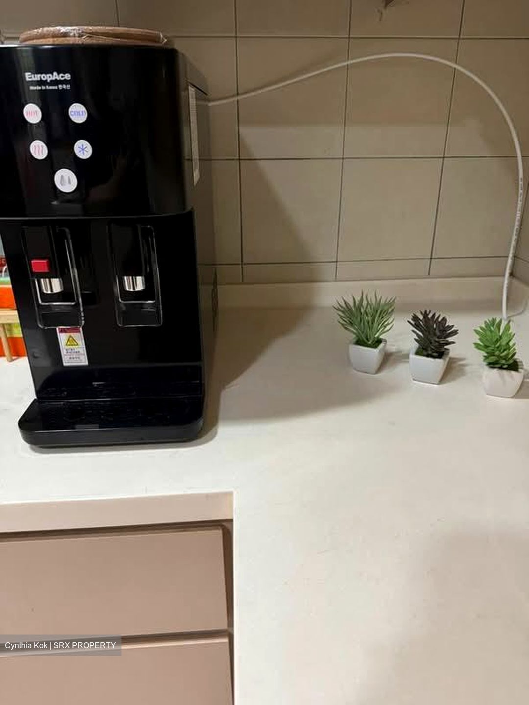 Carissa Park Condominium (D17), Condominium #559395251